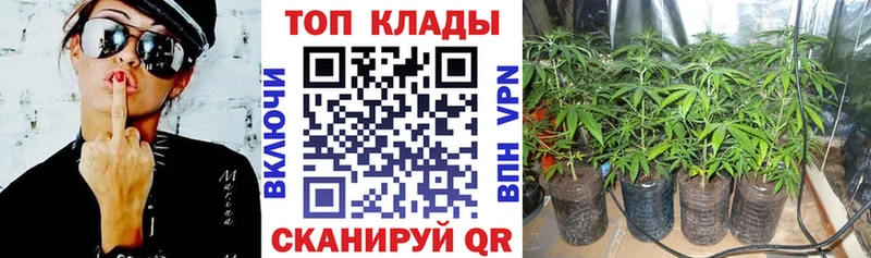 Что такое Гатчина Cocaine  Амфетамин  Конопля  ГЕРОИН  СОЛЬ  Мефедрон 