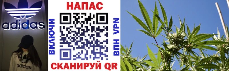 где продают   omg зеркало  Канабис Amnesia  Гатчина 